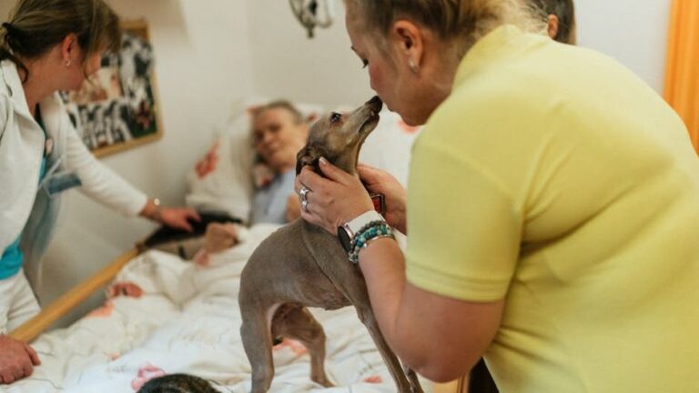 12 Things Senior Dogs Need Most at the End of Their Lives