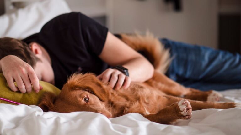 10 Tiny Acts of Love Dogs Repeat Until Their Final Days