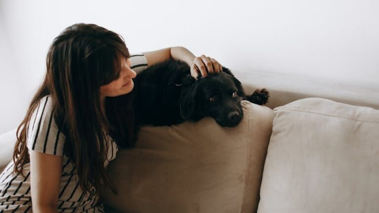 10 Emotional Moments That Change the Bond Between Seniors and Their Dogs Forever