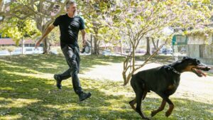 10 Worst Dog Breeds For People Over 50