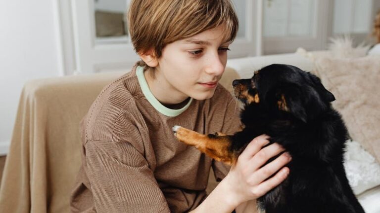 12 Ways Dogs Quietly Heal Lonely Humans
