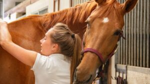 10 Quiet Ways Horses Show They Trust You