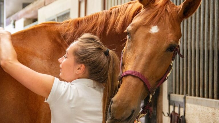 10 Quiet Ways Horses Show They Trust You
