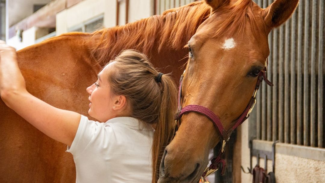 10 Quiet Ways Horses Show They Trust You