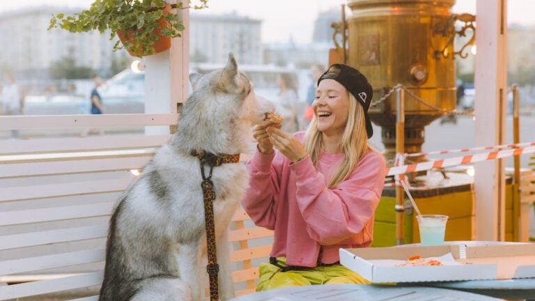 10 Things Your Aging Dog Still Looks Forward to Every Single Day