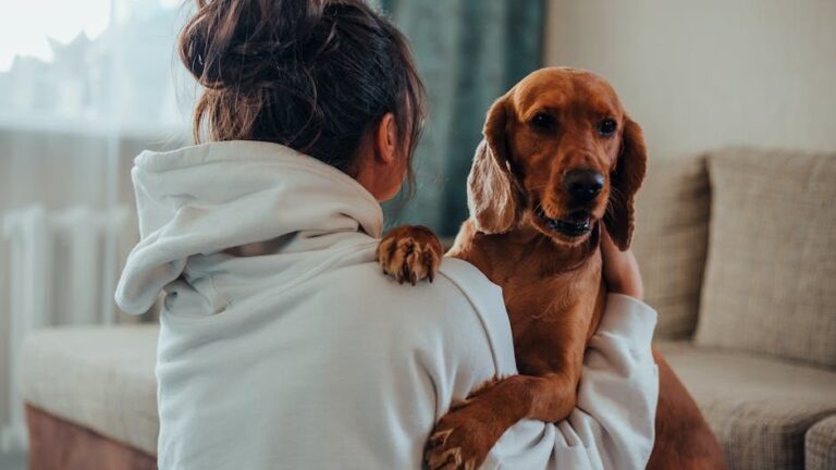 15 Heartbreaking Behaviors Dogs Show After Losing Their Favorite Person