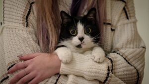 12 Cat Behaviors That Secretly Mean "I Trust You Completely"