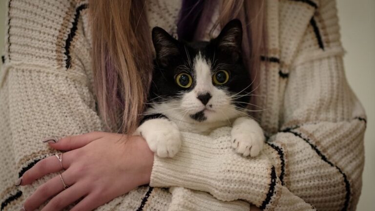12 Cat Behaviors That Secretly Mean "I Trust You Completely"