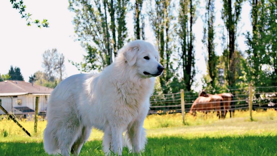 11 Dogs That Can Protect Chickens From Foxes in Pennsylvania