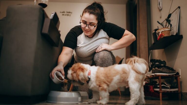 10 Everyday Habits That Can Improve Your Dog's Health and Happiness