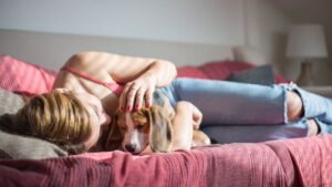10 Things Senior Dogs Still Get Excited About