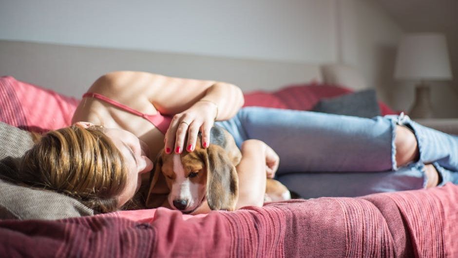 10 Things Senior Dogs Still Get Excited About