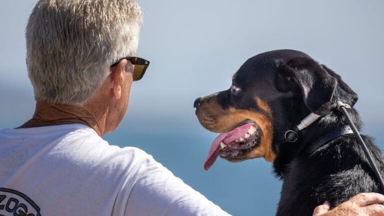 14 Dog Breeds That Struggle With Emotionally Distant Owners