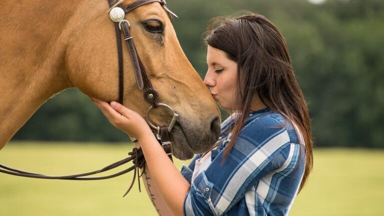 10 Things Horses Sense About Humans Before Anyone Else