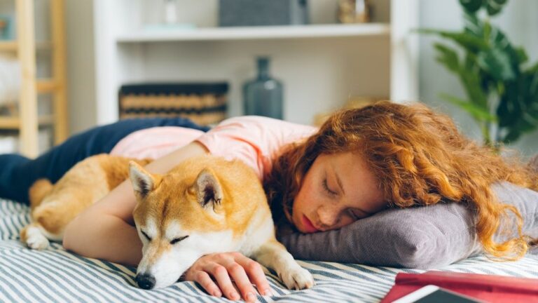 Why Your Dog Stares at You Before Falling Asleep Every Night
