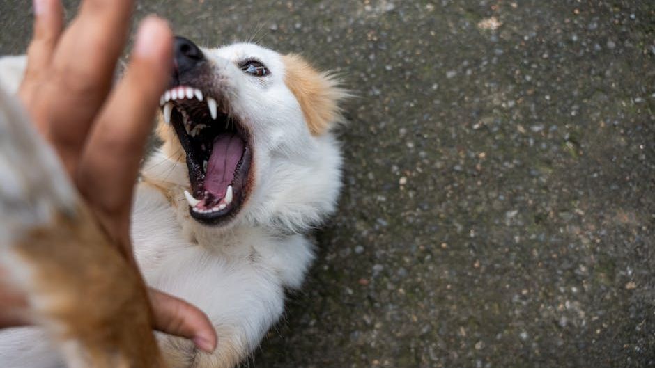 2 kids attacked by dog in Philadelphia