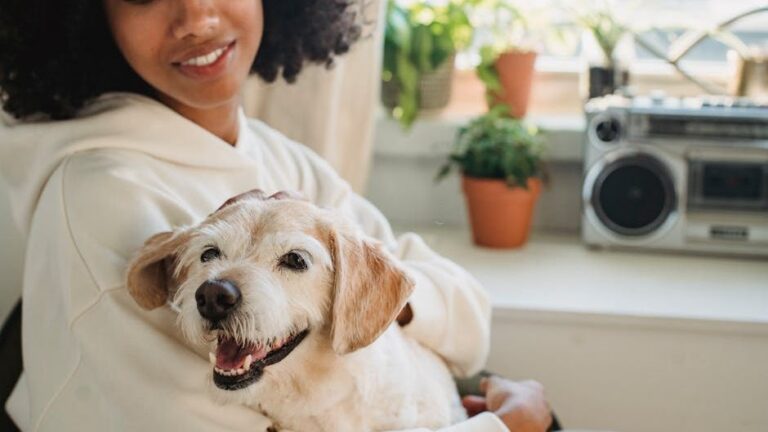 12 Signs Your Dog Is Happy, Healthy, and Emotionally Balanced