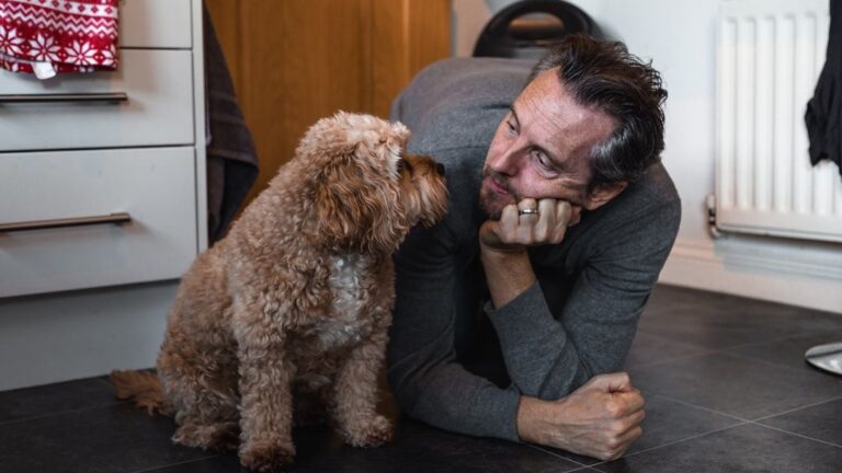 15 Quiet Things Dogs Do When They Know Their Human Is Struggling