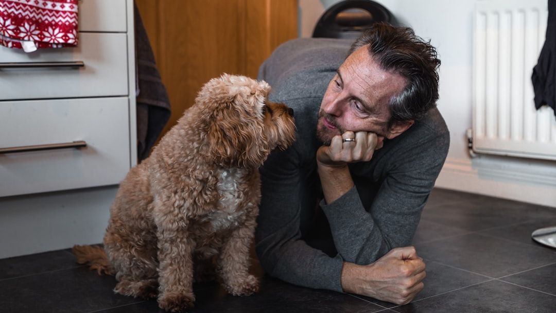 15 Quiet Things Dogs Do When They Know Their Human Is Struggling
