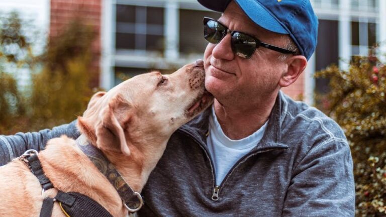 12 Heartbreaking Ways Senior Dogs Ask for Comfort Without Barking