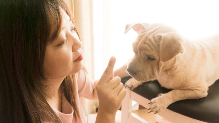 10 Ways Your Dog Says 'I Love You' That You're Probably Missing Every Day