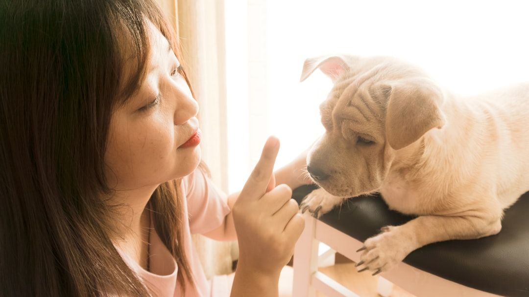 10 Ways Your Dog Says 'I Love You' That You're Probably Missing Every Day