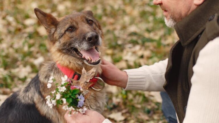 7 Dog Breeds That Can Sense When Their Owner Is About to Die