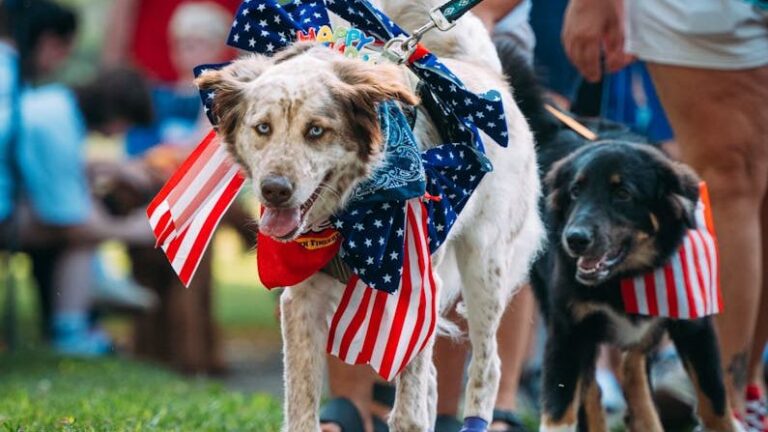 Can I Bring My Dog to a Parade? Advice from Our Vet Expert