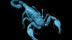 Which Zodiac Signs Are the Hardest on Themselves Emotionally