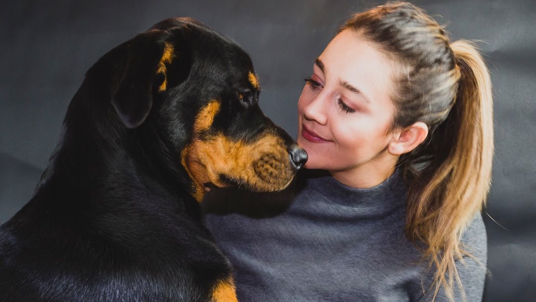 13 Dog Breeds That Stay Emotionally Attached for Their Entire Lives