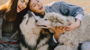 The Zodiac Signs That Make The Best Dog Owners