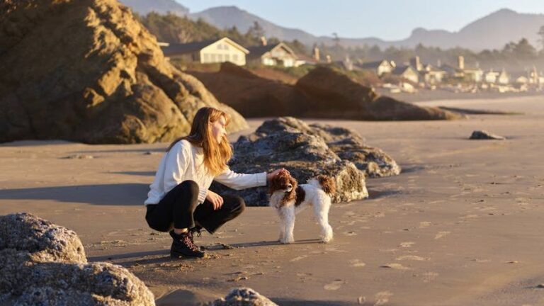 Best Vacation Destinations For Dog Lovers With Zodiac Sign Virgo