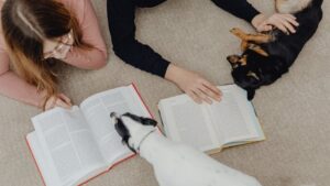 Psychology Says Dogs Bond Deepest With Humans Who Make Them Feel Emotionally Safe
