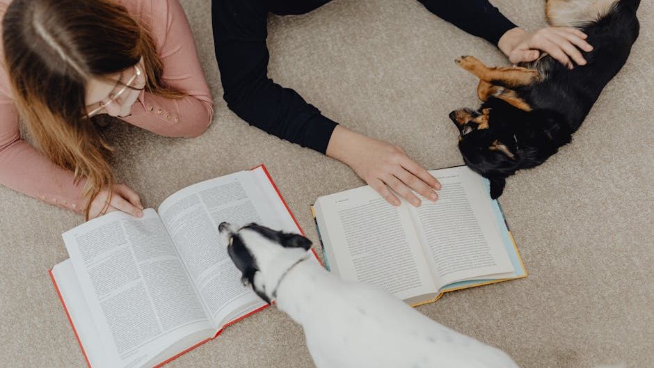 Psychology Says Dogs Bond Deepest With Humans Who Make Them Feel Emotionally Safe