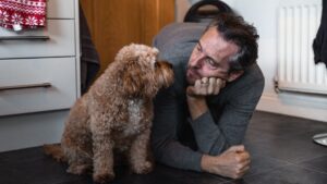 13 Silent Behaviors That Mean Your Dog Is Holding On for You