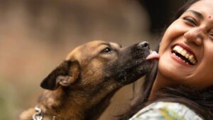 Why Does My Dog Do That? 10 Weird Behaviors Explained