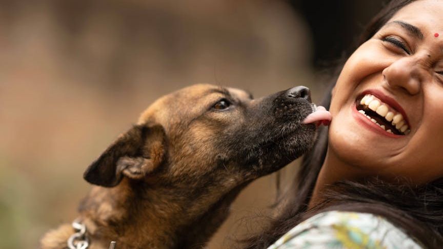 Why Does My Dog Do That? 10 Weird Behaviors Explained