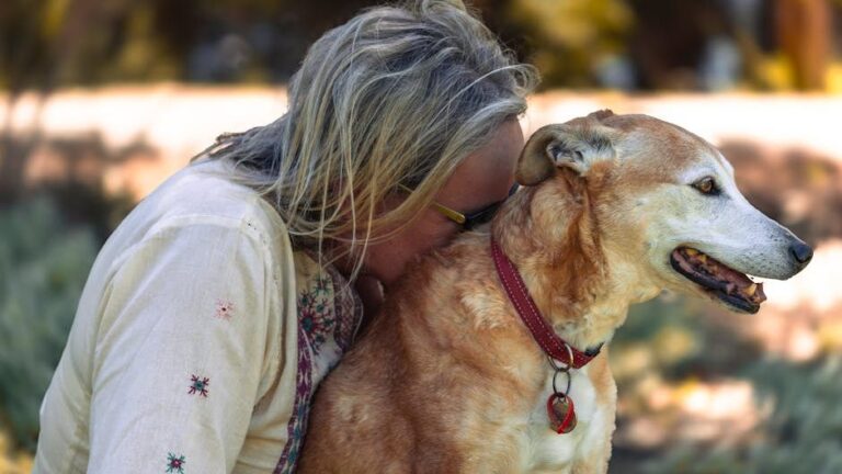 Psychology Says Dogs Become More Emotionally Attached as They Age Beside You