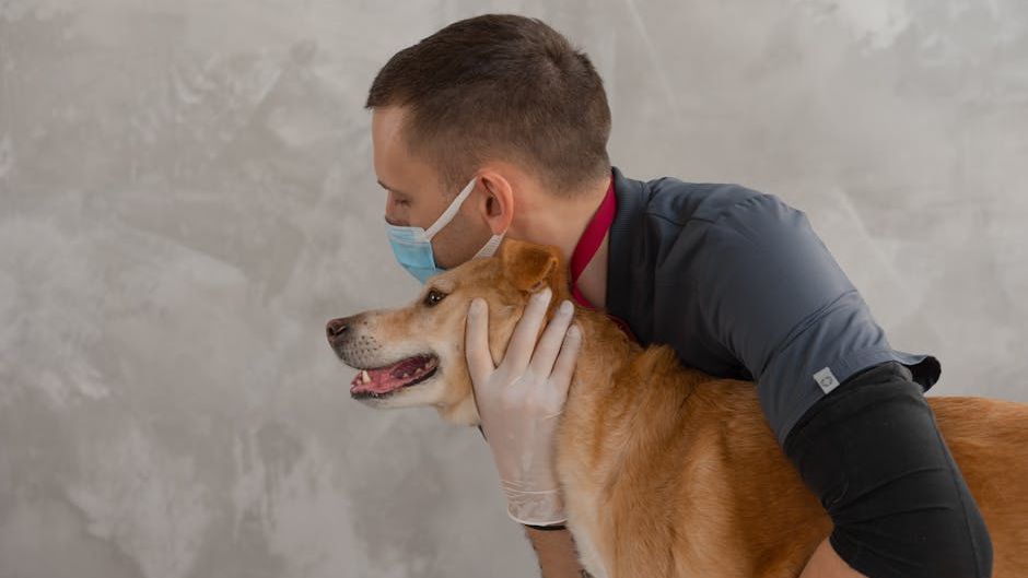 12 Ways to Make Vet Visits Less Stressful for Dogs