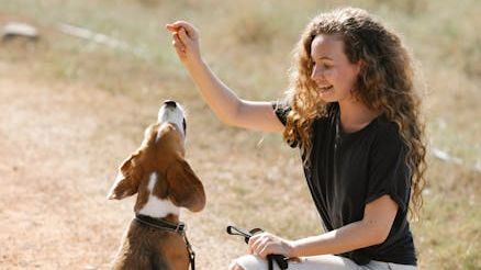 How to Correct Bad Dog Behavior Without Yelling or Fear