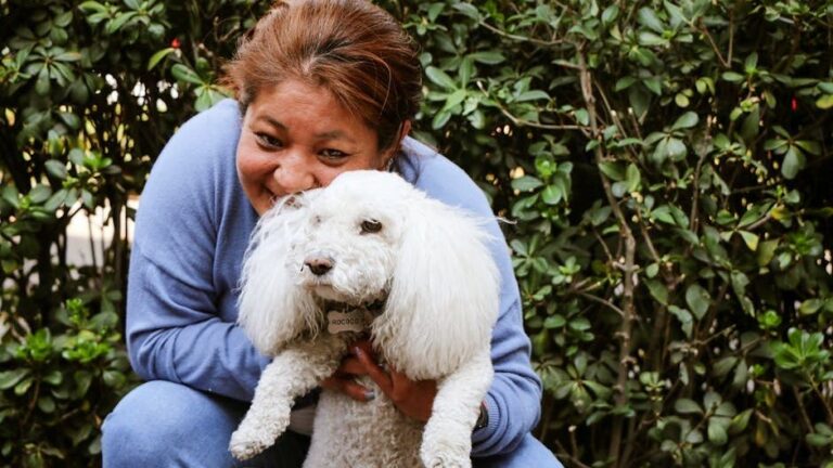 9 Dog Breeds That Refuse to Leave Your Side When You're Crying