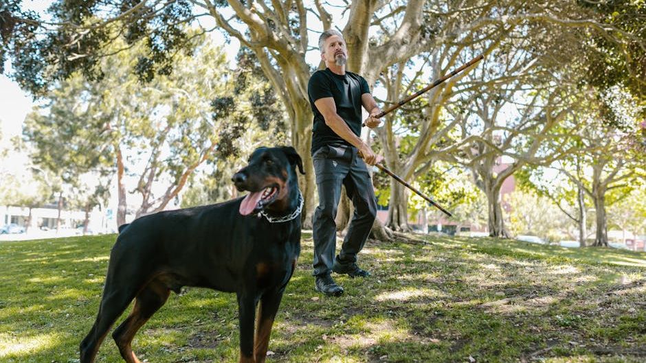Which Dog Breed Will Protect Your Family Best Based on Your Myers-Briggs Type