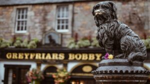 7 Dog Breeds That Refuse to Leave Their Owner's Side Even After Death
