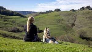 What Your Dog's Sleeping Position Reveals About How Much They Trust You