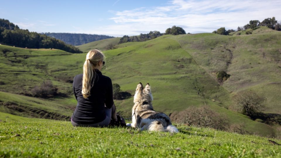 What Your Dog's Sleeping Position Reveals About How Much They Trust You