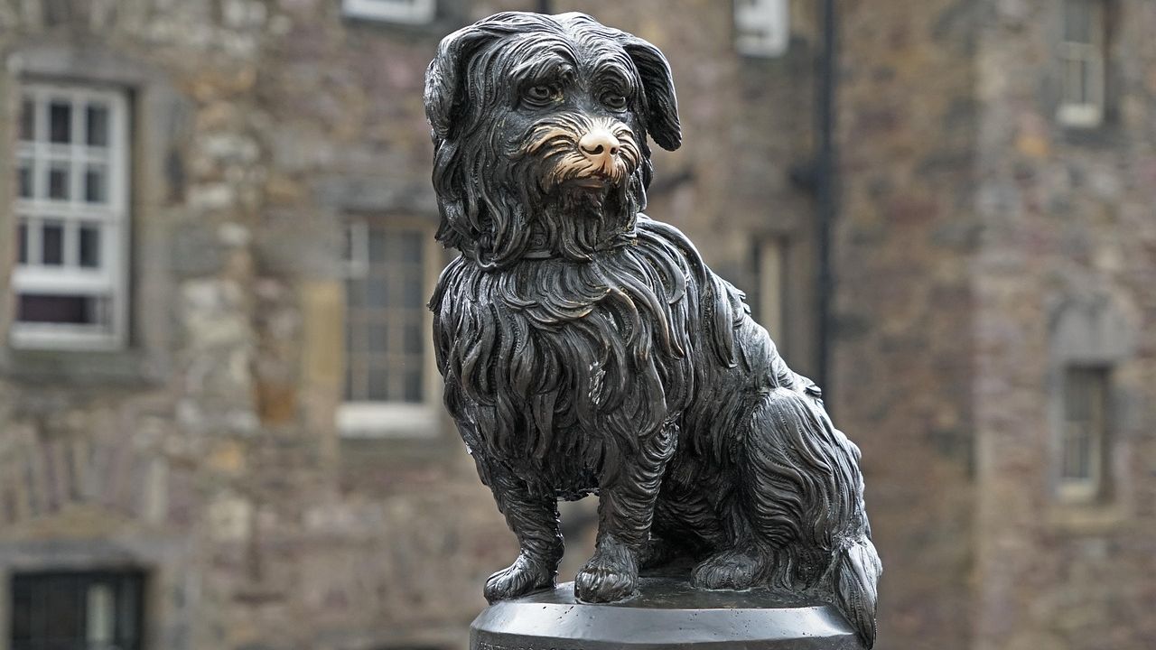 8 Dog Breeds That Refuse to Leave Their Owner's Grave (The Science Behind It)