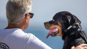 Avoid Adopting These 8 Dog Breeds if You're Over 60 (And 5 That Would Be Ideal)