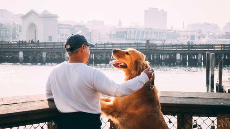 Psychology Says Dogs Build Lifelong Trust Through Tiny Daily Interactions