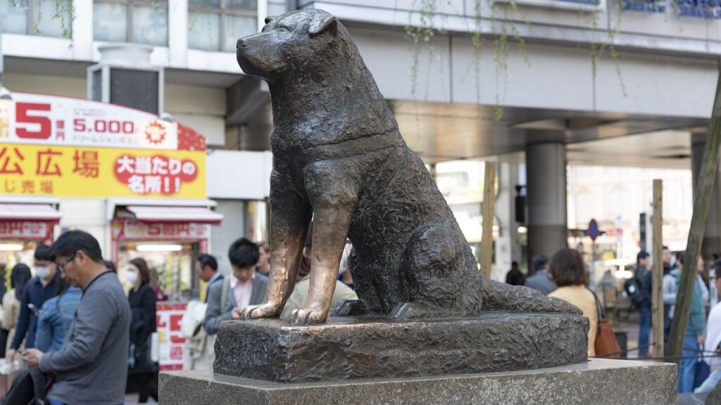 7 Dog Breeds That Refuse to Leave Their Owner's Grave (Even Years Later)