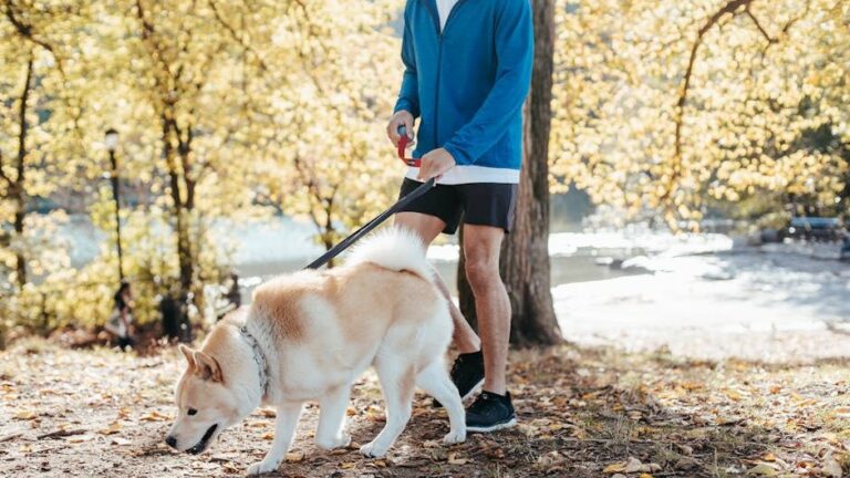 12 Ways to Help an Anxious Dog Feel Safe at Home